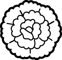 Carnation Flower Illustration – Flat Design Style