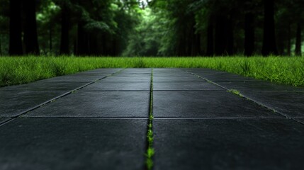 Dark paved path through lush green forest