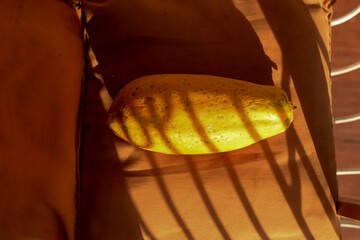 Yellow papaya casting shadows on an orange chair in the sunlight, creating a warm, tropical...