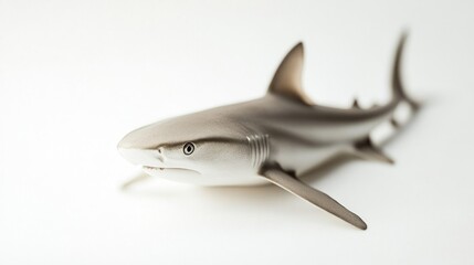 Obraz premium Gray shark on white background
