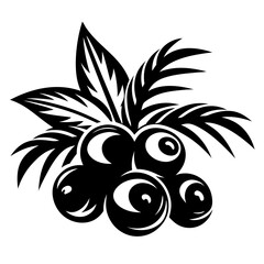 Bold black and white vector illustration of berries and decorative leaves