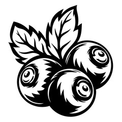 Graphic illustration of fresh blueberries with leaves in black and white