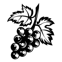 Stylized Black and White Grape Vine with Leaves Artwork Illustration
