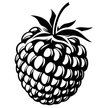 Raspberry clip art preview