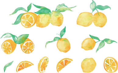 水彩のレモンイラスト。水彩画のレモンベクター素材。夏のレモン背景イラスト。Watercolor lemon illustration. Watercolor lemon vector material. Summer lemon background illustration.