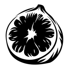 Abstract fig fruit cross section in black and white illustration vector