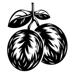 Simple Black and White Vector Illustration of Two Oranges on a Stem