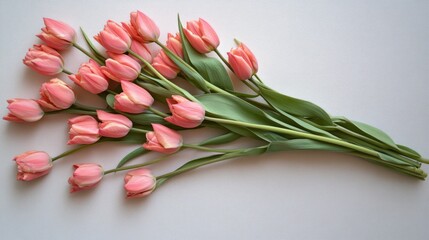 Delicate bunch of peach tulips