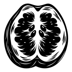 Dramatic Black and White Illustration of a Fruit Slice with Detailed Texture