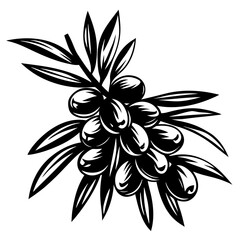 Fototapeta premium Stylized black and white olive branch illustration with many leaves and olives