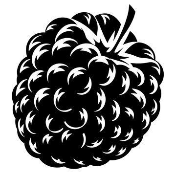 black and white blackberry fruit clip art preview