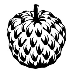 Detailed Sugar Apple Cherimoya Fruit Black and White Vector Illustration