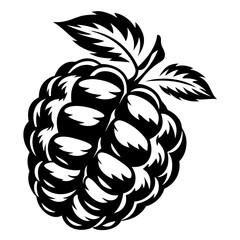 Monochrome Black and White Blackberry Fruit with Leaves Illustration Clipart