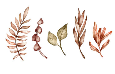 Set of watercolor illustrations. Hand-drawn different stylized plants, leaves, branches in monochromatic color. Brown shades, boho style. Abstract plants.