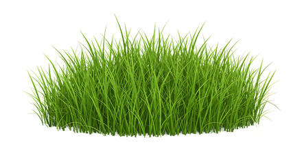 A clump of vibrant green grass isolated on a black background in a studio shot for decoration