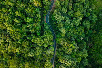 Aerial view of road with green trees. Travel and environment.