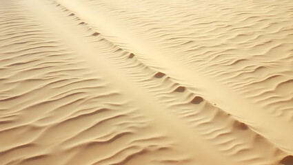 Obraz premium Golden Sandscape, Serene Trail with Playful Light and Shadow, showcasing the subtle textures and patterns of the desert landscape, offering a visual journey