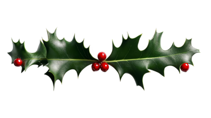 Isolated Holly Sprig Illustration with Red Berries on a Transparent Background