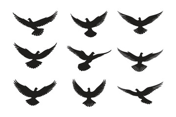 Silhouettes of pigeons in flight, various angles.
