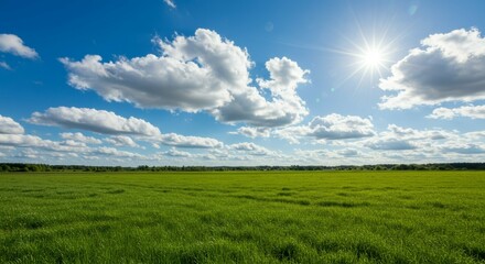 Fototapeta premium Green Field Under Blue Sky with Clouds