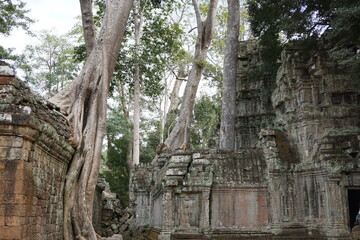 Cambodia