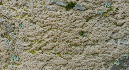 Obraz premium Stone Wall with Moss and Lichen