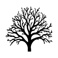 Obraz premium tree without leaves, PNG Tree scene silhouette no leavs no root