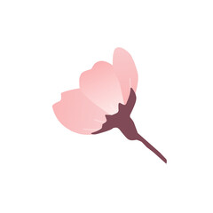 Spring flower blossom 