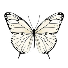 butterfly Artwork - 117
