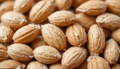 High-quality close-up image of numerous almond seeds.