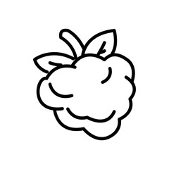 raspberry icon vector, line style icon