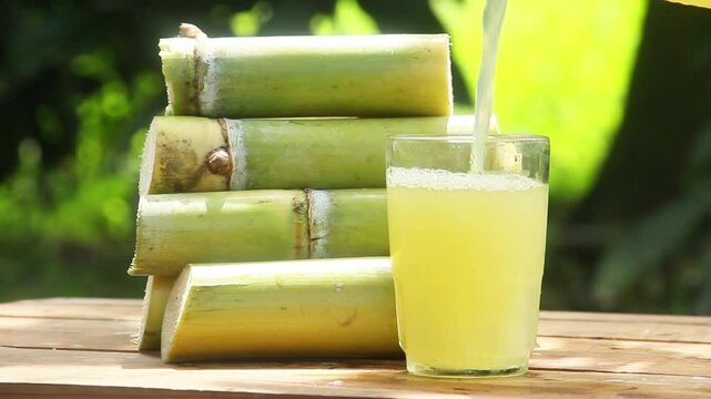 A drink made from squeezed yellow sugar cane juice or Saccharum officinarum L which is part of the Poaceae family, a drink made from squeezed sugar cane juice which is neatly arranged with fresh sugar