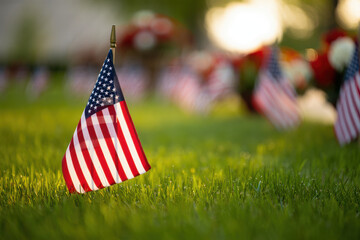 American Flags Placed in Grass A Remembrance Tribute