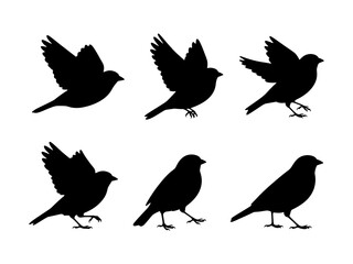 silhouettes of sparrow birds
set of sparrow birds
set of silhouettes of sparrow birds