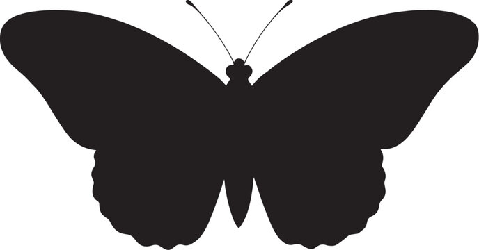 Butterfly Silhouette Vector - Simple Black Outline