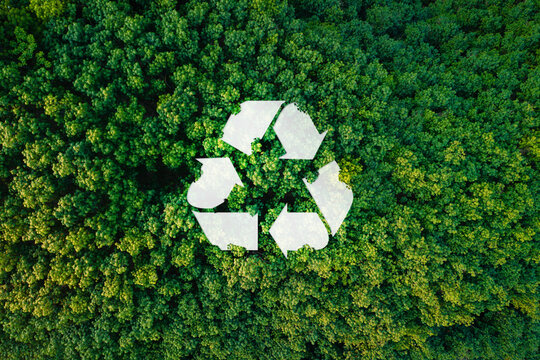Ecology project concept,Recycling in the forest from an aerial view, sustainable environment concept