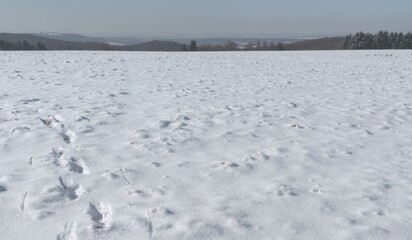 Obraz premium Snow landscape, winter, vast area covered with snow, nature view, landscape, sky, mountain, 3D illustration