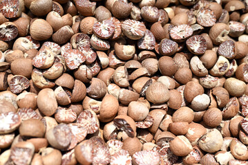 areca nut or called areca nut is a fruit that grows in the Asian region which is often used for health, food and medicine.