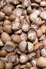 areca nut or called areca nut is a fruit that grows in the Asian region which is often used for health, food and medicine.