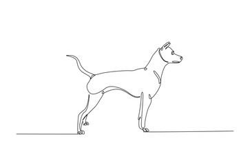 Hound dog in continuous one line drawing. Single line art illustration of adorable dachshund dog. Editable vector.