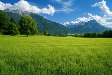 Obraz premium Mountain Grass. Tranquil Landscape with Green Grass Fields under Blue Skies
