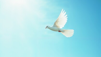 Graceful white dove flying against clear blue sky in serene atmosphere