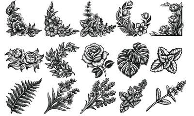 Elegant Floral Elements Vintage Roses Leaves and Decorative Designs