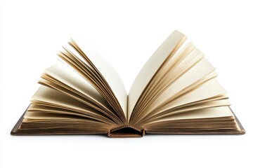 Fototapeta premium open old book