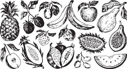 Classic hand drawn botanical sketch featuring a mix of tropical fruits and vegetables in a monochrome vintage style emphasizing texture and shape