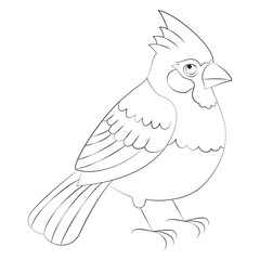 Cardinalis. Passerines. Black Line. Isolated. 