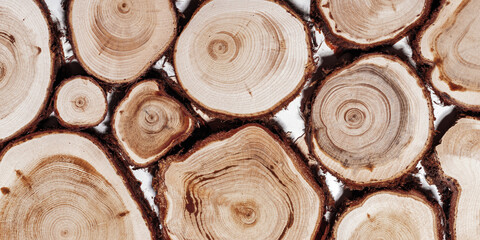 Round Slices of wood timber of juniper tree as natural geometric pattern, abstract nature banner....