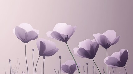 Lavender Poppies Field Sunset.