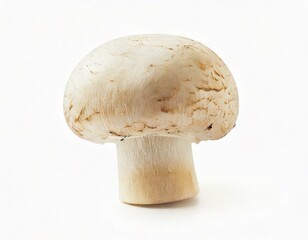 Creamy Button Mushroom: A Detailed Close-Up Study