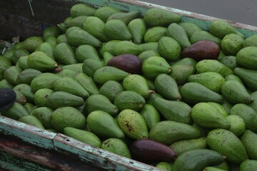 Aguacates 